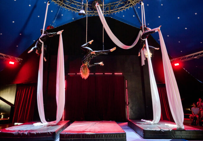 Manegenzauber im Winter: Die Wintershow!